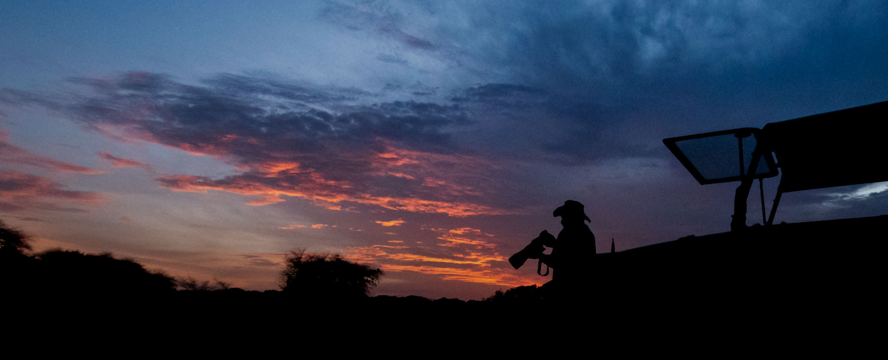 Embracing the Wild at Sunset