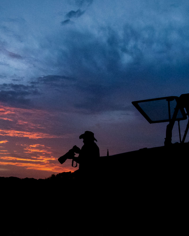 Embracing the Wild at Sunset